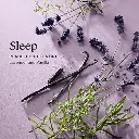 26803-A1-Lavender-Vanilla-2.webp