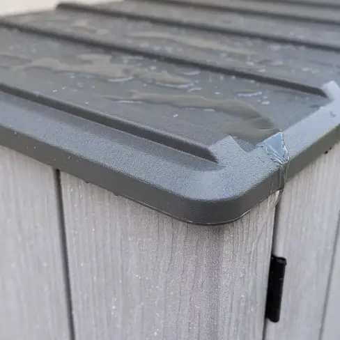 roof.webp