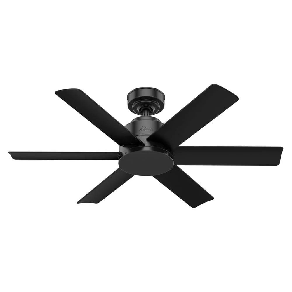 Hunter - Kennicott Indoor/Outdoor Ceiling Fan , 44-inch  Matte Black  Casual-style 59613
