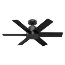 Hunter - Kennicott Indoor/Outdoor Ceiling Fan , 44-inch  Matte Black  Casual-style 59613